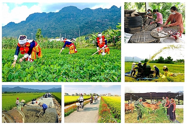 Đề xuất thêm cơ chế đặc thù đẩy nhanh thực hiện các chương trình mục tiêu quốc gia Đề xuất thêm cơ chế đặc thù đẩy nhanh thực hiện các chương trình mục tiêu quốc gia