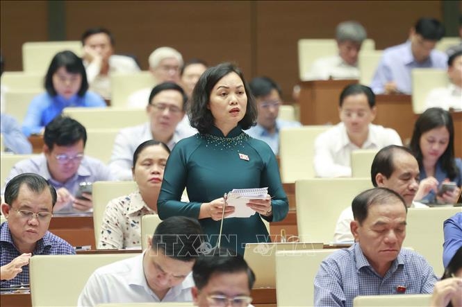 Đại biểu Quốc hội tỉnh Bà Rịa – Vũng Tàu Huỳnh Thị Phúc phát biểu ý kiến. Ảnh: Doãn Tấn/TTXVN