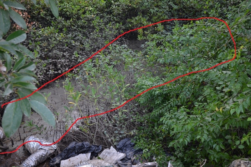 và nước thải màu trắng đục mà xe bồn xả ra sông Chanh.