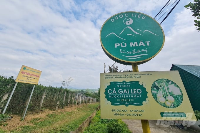 Giới thiệu, quảng bá sản phẩm OCOP, các tiềm năng của miền Tây xứ Nghệ