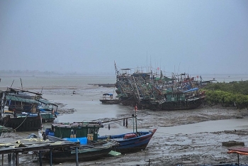 Đề nghị các tỉnh, thành phố từ Quảng Ninh đến Kiên Giang chủ động ứng phó với gió mạnh trên biển