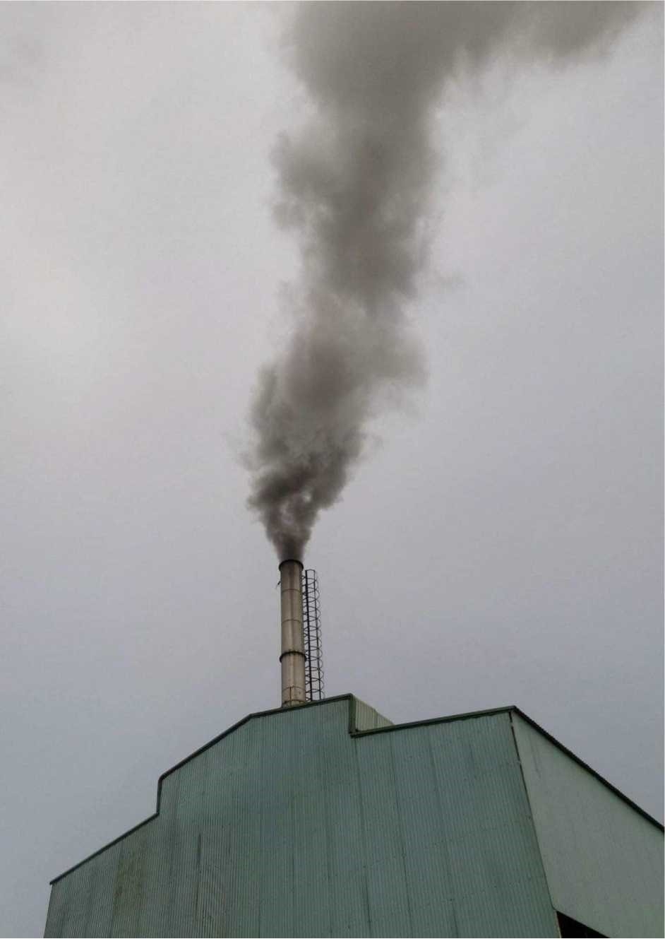 Tăng cường công tác bảo vệ môi trường tại Cụm công nghiệp Chế biến hải sản Phú Hài