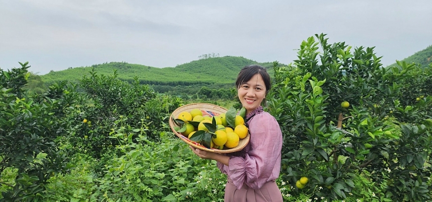 Cam Vinh đã được nhân rộng ở nhiều địa phương của huyện Yên Thành