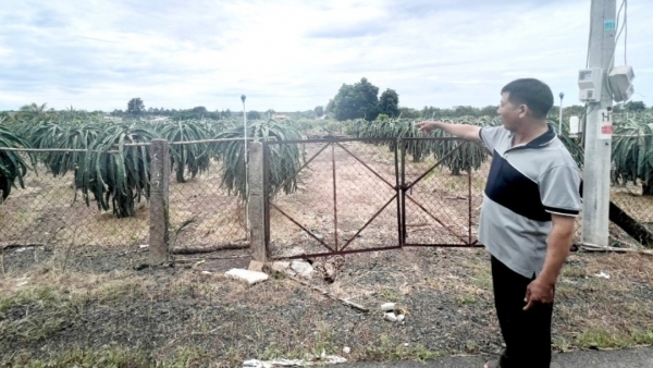 Hoán đổi đất cho lâm trường, nhiều người cao tuổi đang chờ được cấp Giấy chứng nhận quyền sử dụng đất