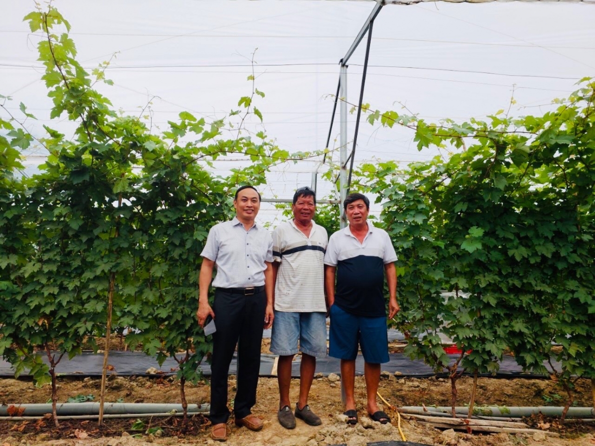 Những người cao tuổi làm kinh tế giỏi ở vùng gió cát