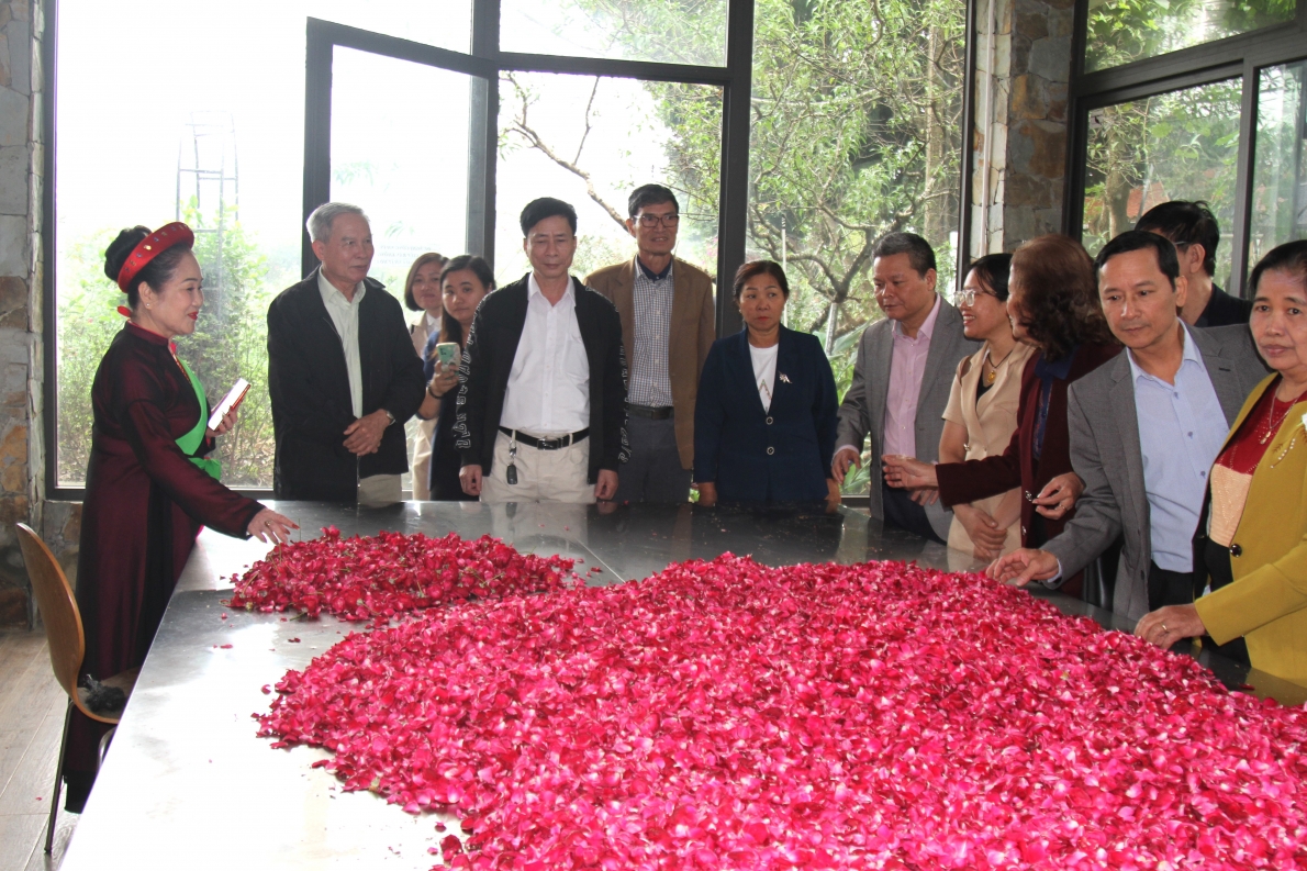 Các đại biểu thăm mô hình của NCT làm kinh tế giỏi huyện Chương Mỹ