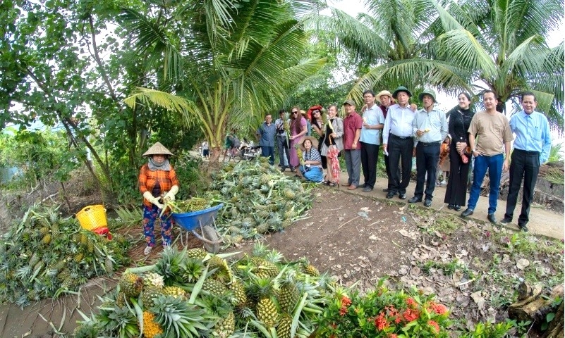 Nỗ lực vượt khó và thành tích nổi bật trong phong trào thi đua “Tuổi cao - Gương sáng”