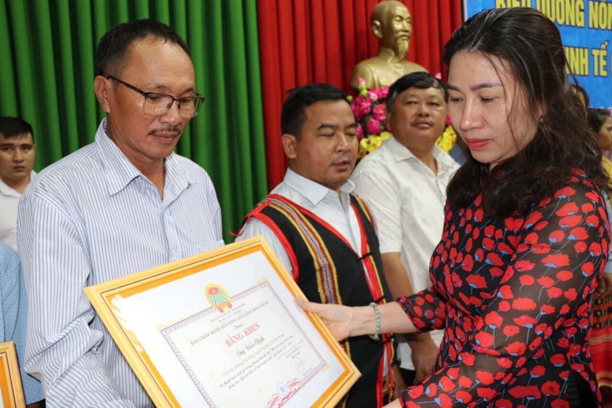 Hoạt động của Hội Người cao tuổi các địa phương