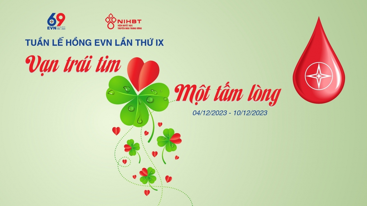 Tổng Giám đốc mới tiên phong hiến máu trong Tuần lễ Hồng EVN lần thứ IX
