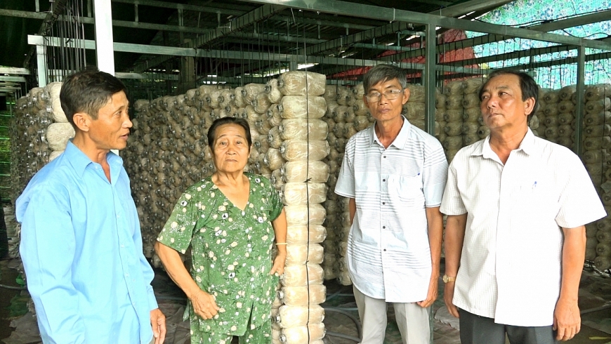 2.Mô hình trồng nấm bào ngư của NCT xã Vĩnh Thành hỗ trỡ vốn từ CLB liên thế hệ giúp nhau mang lại hiệu quả kinh tế cao