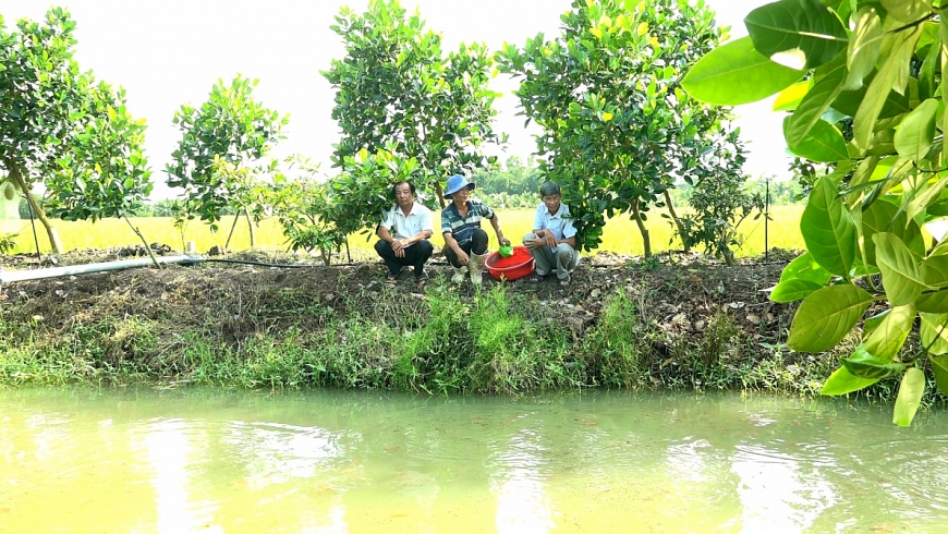 Vĩnh Thành nỗ lực tạo sinh kế để NCT thoát nghèo bền vững