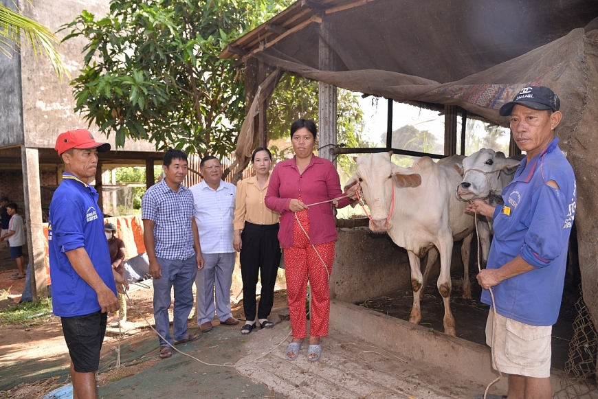 Giải pháp nào để xóa nghèo bền vững ở Phú Tân