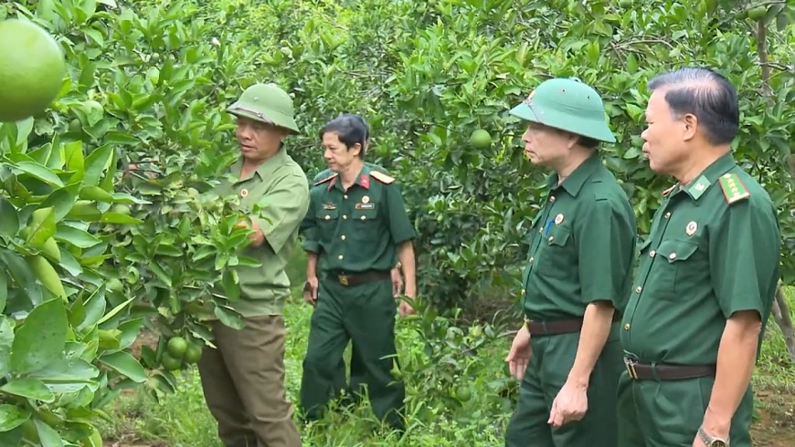 Ông Hoàng Minh Hảo (người đứng tách hàng phía trái) trao đổi kinh nghiệm trồng cam với các CCB