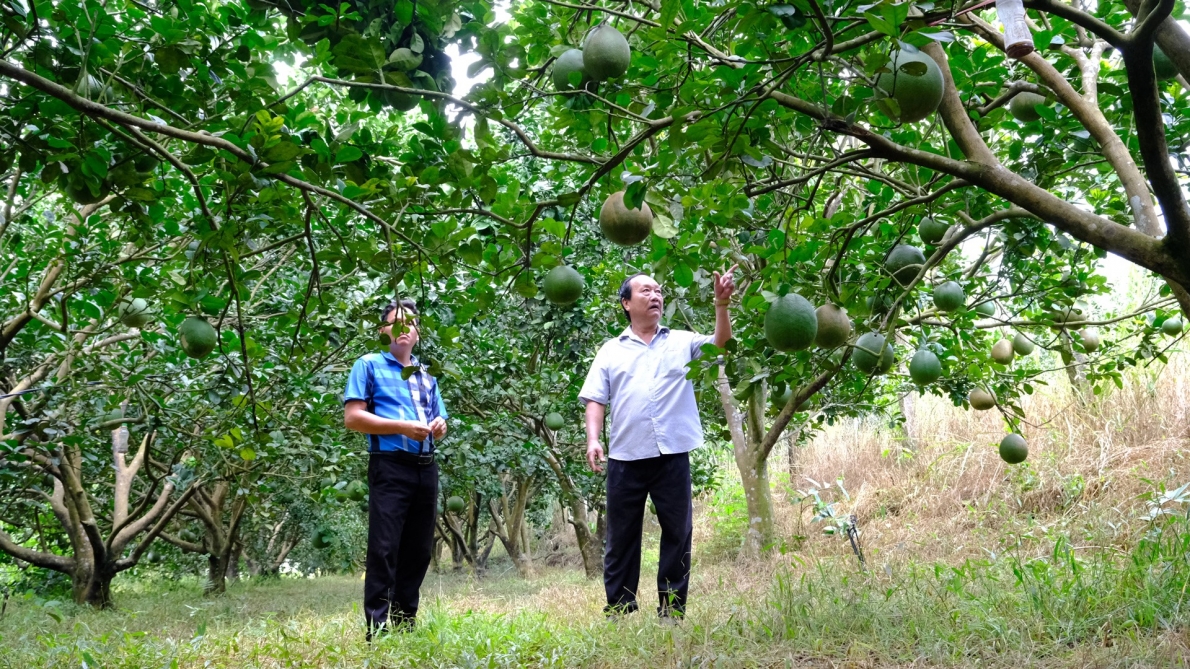 Mô hình NCT làm kinh tế giỏi ở huyện Cát Tiên, tỉnh Lâm Đồng