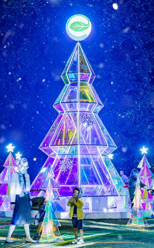 Cư dân nhí thích thú chơi tại khu rừng pha lê