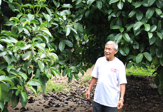 Mô hình NCT làm kinh tế giỏi ở huyện Cát Tiên, tỉnh Lâm Đồng