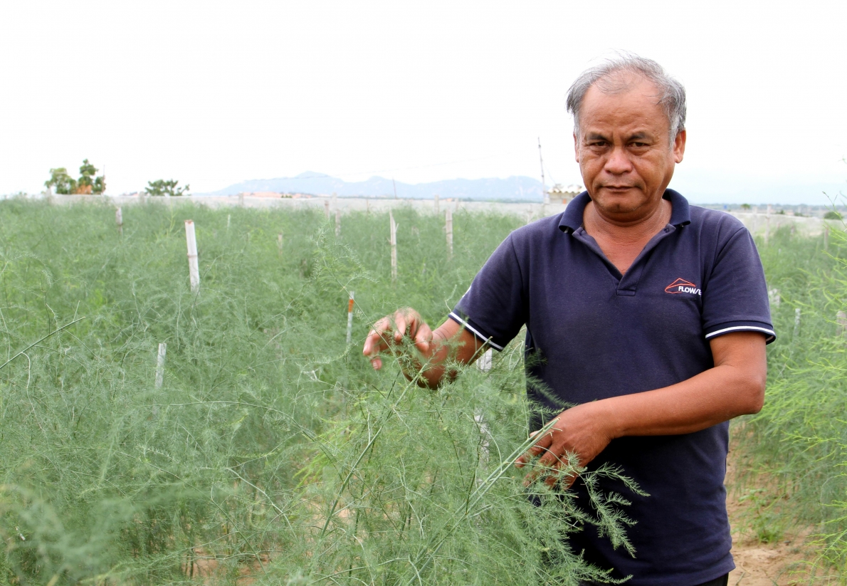 Nhờ người cao tuổi, vùng đất cằn đã “đơm hoa kết trái”