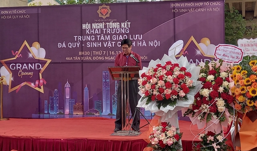 Khai trương trung tâm giao lưu đá quý – sinh vật cảnh Hà Nội Khai trương trung tâm giao lưu đá quý – sinh vật cảnh Hà Nội
