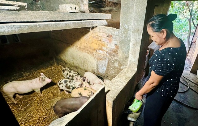 Hội Phụ nữ phường Vinh Tân với công tác nâng cao đời sống cho hội viên, phụ nữ vùng giáo