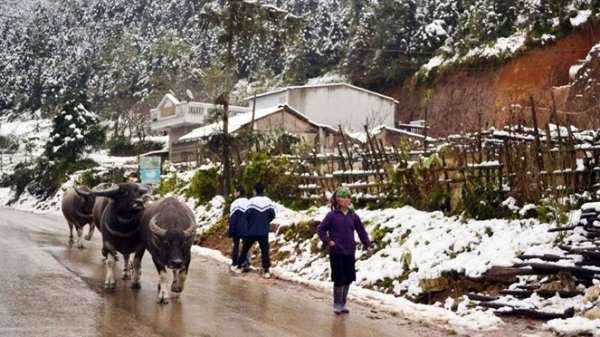 Thủ tướng Chính phủ yêu cầu chủ động phòng, chống rét đậm, rét hại kéo dài