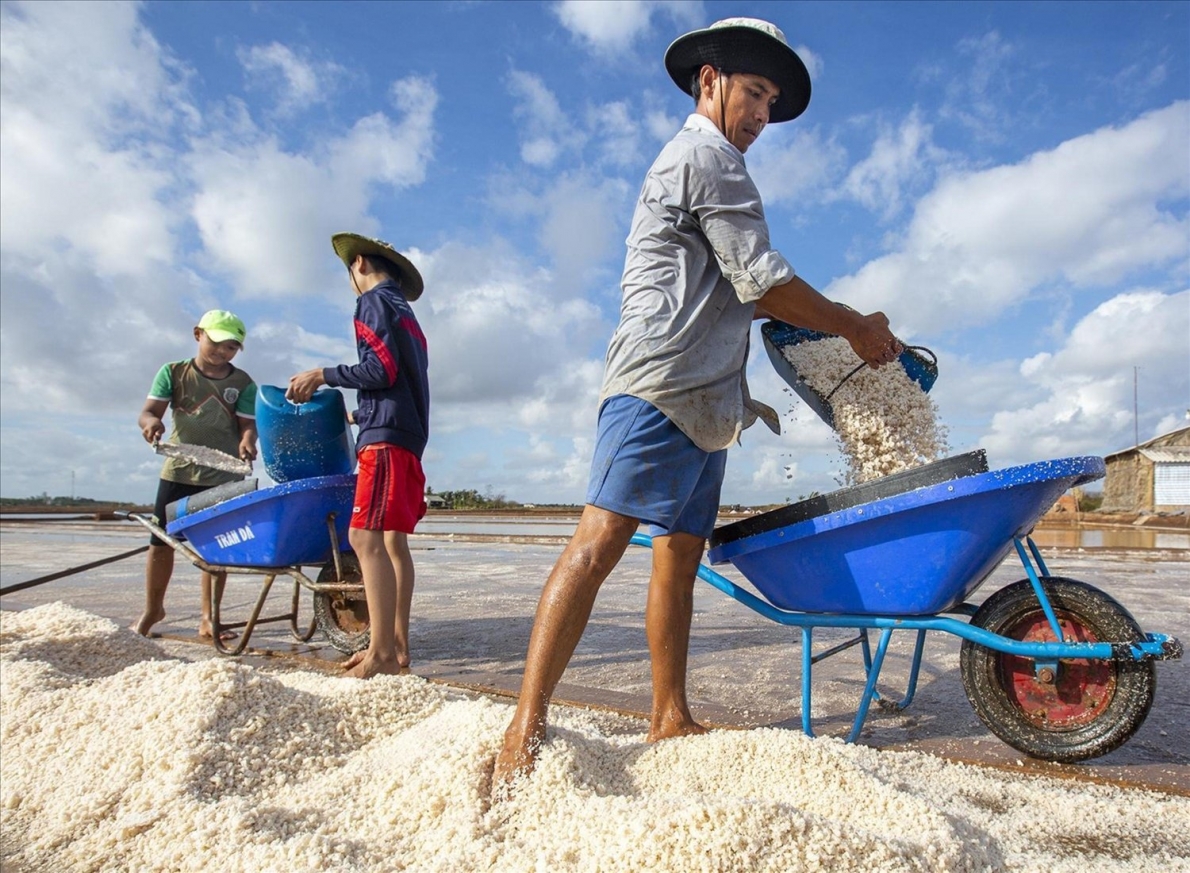 Thu tiền tỉ nhờ nuôi tôm công nghệ cao