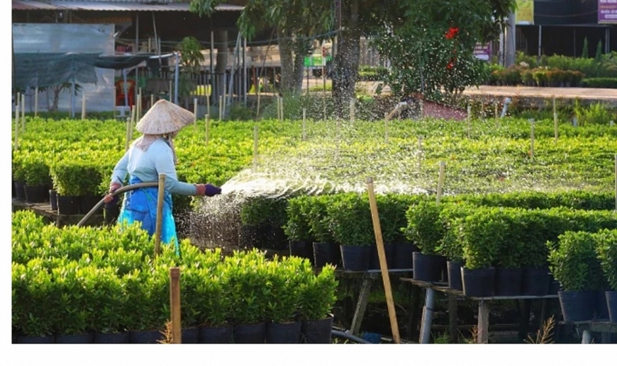 Đồng Tháp rộn rịp, tổ chức quy mô Hội nghị kết nối giao thương điện tử các sản phẩm hoa, kiểng