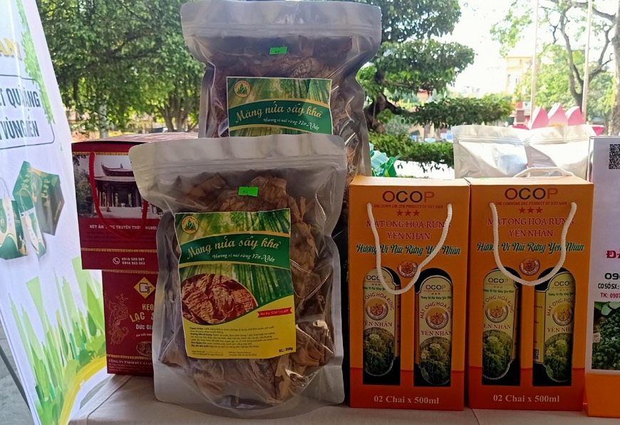 Người dân vùng cao tăng thêm thu nhập nhờ sản phẩm OCOP