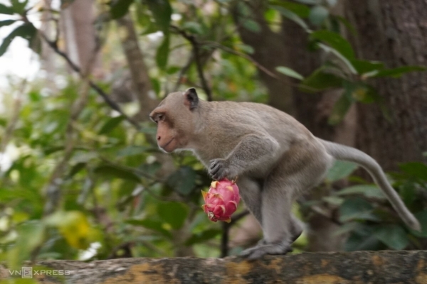 Tử vi hôm nay thứ 6 ngày 12/1/2024: Thân tình cảm thăng hoa