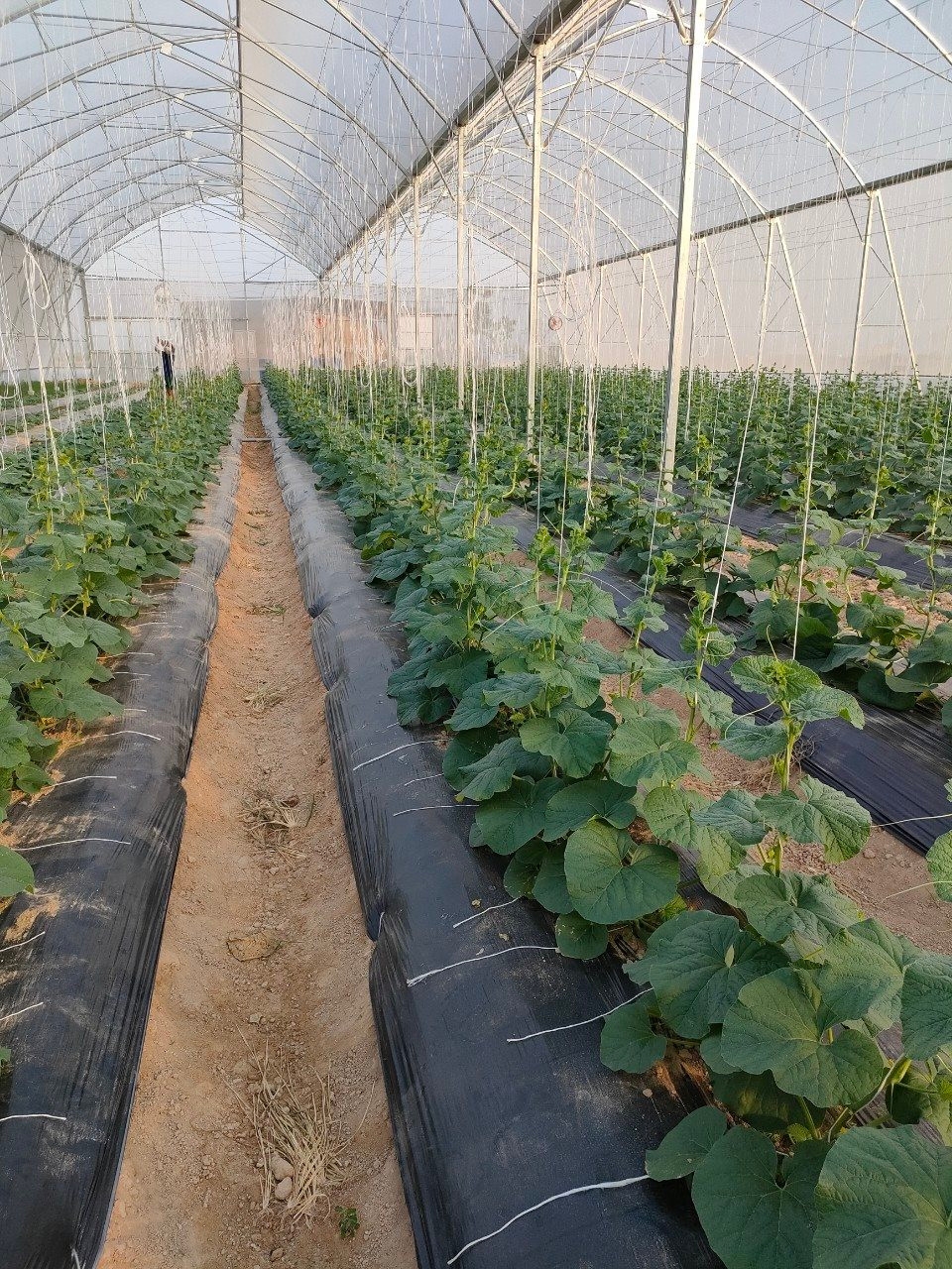 Thông qua 7 nghị quyết quan trọng, thúc đẩy kinh tế - xã hội của địa phương phát triển bền vững