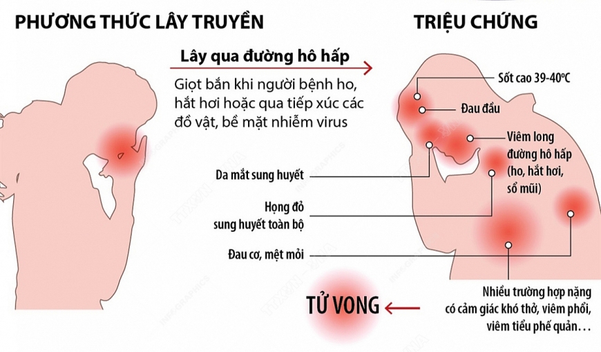 Cúm A biểu hiện như thế nào? Cúm A biểu hiện như thế nào?