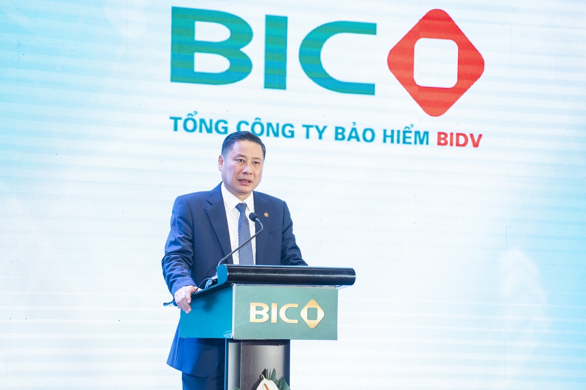 BIC tăng trưởng cao nhất trong Top 10 Công ty bảo hiểm phi nhân thọ Việt Nam năm 2023