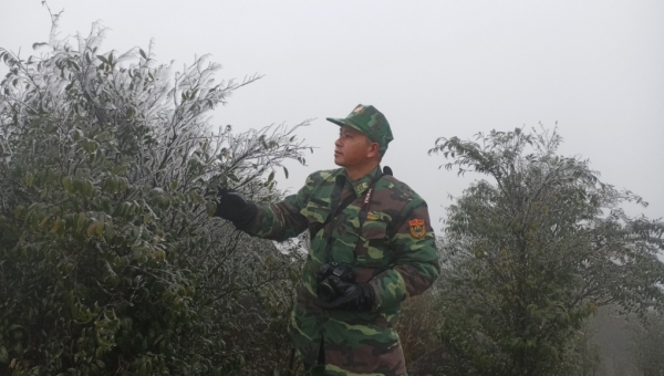 Khuyến cáo người dân thực hiện các biện pháp phòng chống rét đậm rét hại