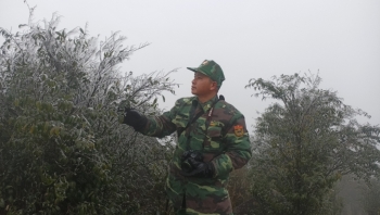 Khuyến cáo người dân thực hiện các biện pháp phòng chống rét đậm rét hại