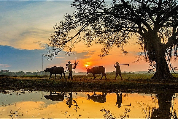 Những bài học cuộc đời