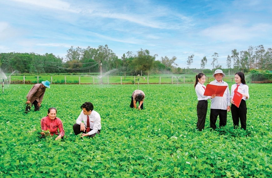 Agribank triển khai đồng bộ nhiều giải pháp để hỗ trợ doanh nghiệp vượt khó