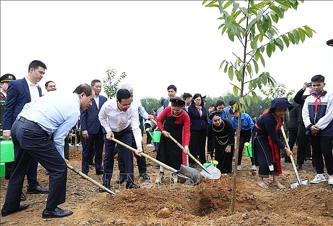 Chủ tịch nước Võ Văn Thưởng và các đại biểu tham gia trồng cây tại Lễ phát động Tết trồng cây “Đời đời nhớ ơn Bác Hồ” Xuân Giáp Thìn 2024. Ảnh: Dương Giang/TTXVN