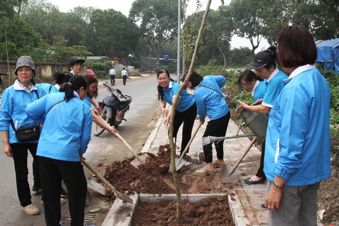 Quang cảnh Tết trồng cây