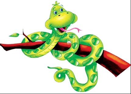 Tử vi 12 con giáp ngày 21/2/2024: Tuổi Tỵ lẻ bóng