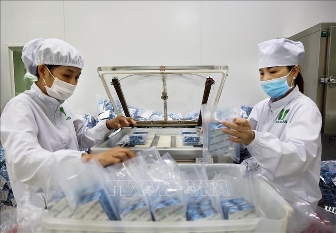 Long An: Phát triển các sản phẩm y học cổ truyền công nghệ cao