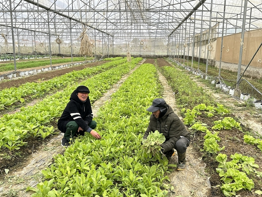  Mô hình kinh tế của gia đình ông Lê Văn Quang ở tiểu khu 3, thị trấn Thiệu Hóa.