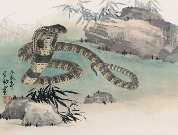 Tử vi 12 con giáp ngày 4/3/2024: Tuổi Tỵ công việc tạm ổn