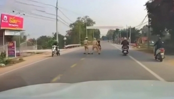 Bắc Giang: Bắt khẩn cấp nam thanh niên cố tình tông xe vào CSGT
