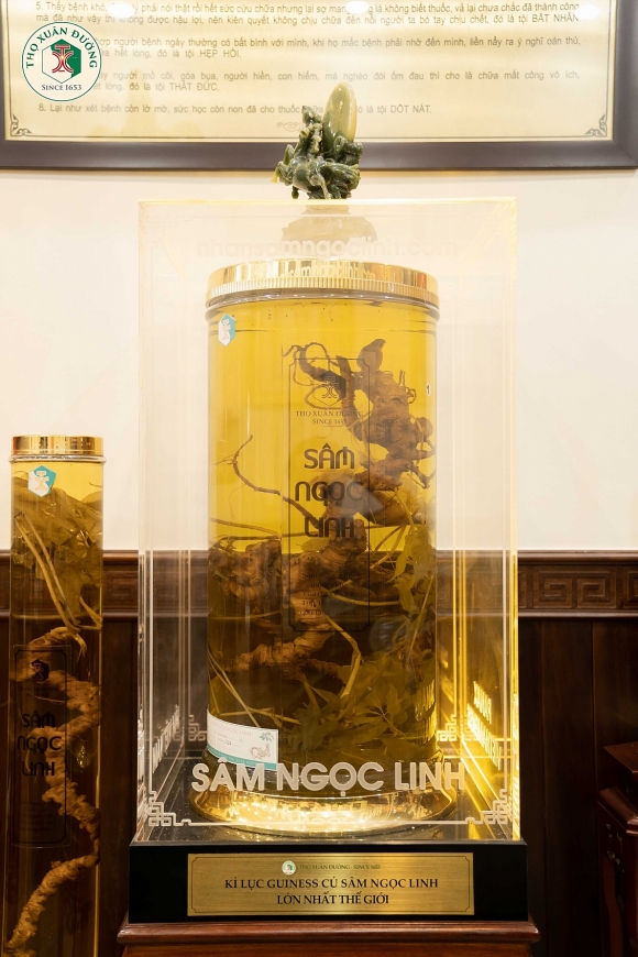 Không gian văn hoá của Nhà thuốc Thọ Xuân Đường trong “Lễ kỷ niệm 370 năm truyền thống”