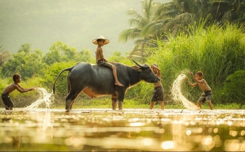 Tử vi 12 con giáp ngày 13/3/2024: Tuổi Sửu tình cảm ảm đạm