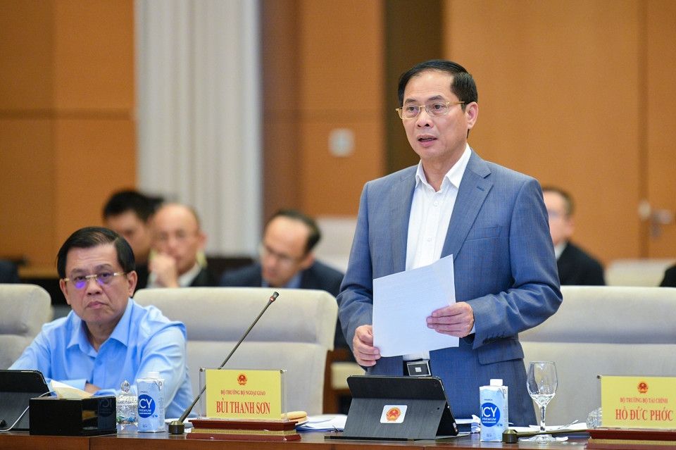 Bộ trưởng Bộ Ngoại giao Bùi Thanh Sơn