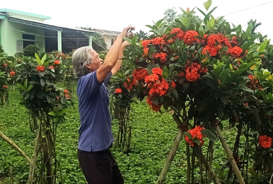 Mô hình NCT làm kinh tế giỏi tỉnh Sóc Trăng