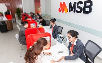 Bắt tạm giam Giám đốc Ngân hàng MSB chi nhánh Thanh Xuân Bùi Thị Hoài Anh