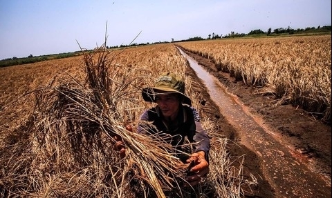Tăng cường phòng, chống nắng nóng, hạn hán, thiếu nước, xâm nhập mặn
