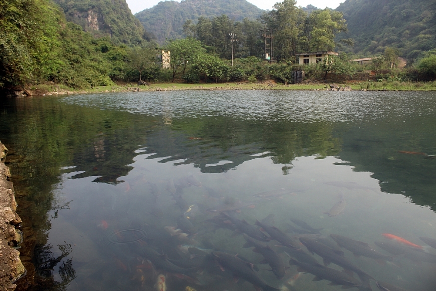 Đặc sắc Lễ hội đền Rồng - đền Nước năm 2024