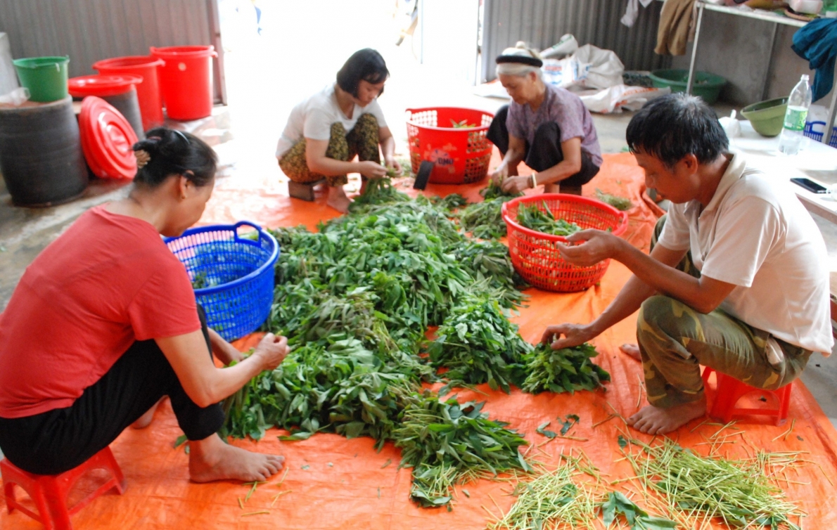 Xây dựng quê hương Cẩm Khê bình yên, giàu đẹp